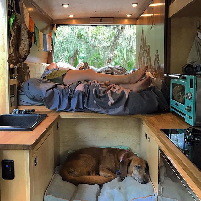 there is a dog that is sleeping in the camper