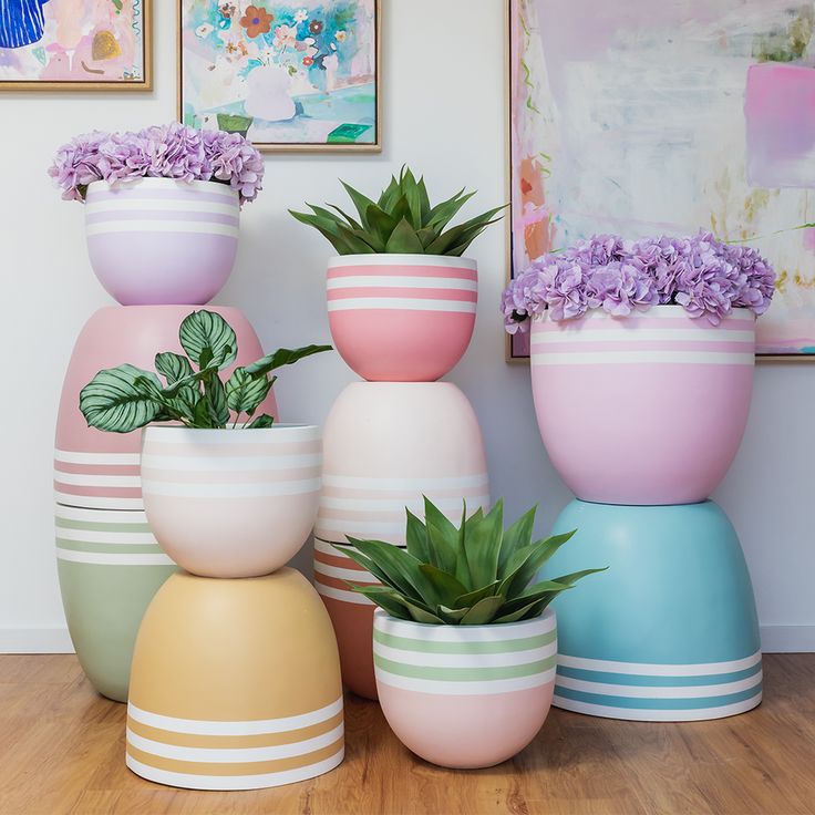 there are many vases with plants in them