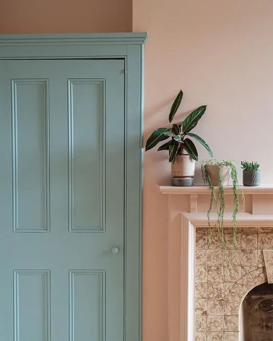 a room with a fireplace, potted plants and a green door in the corner