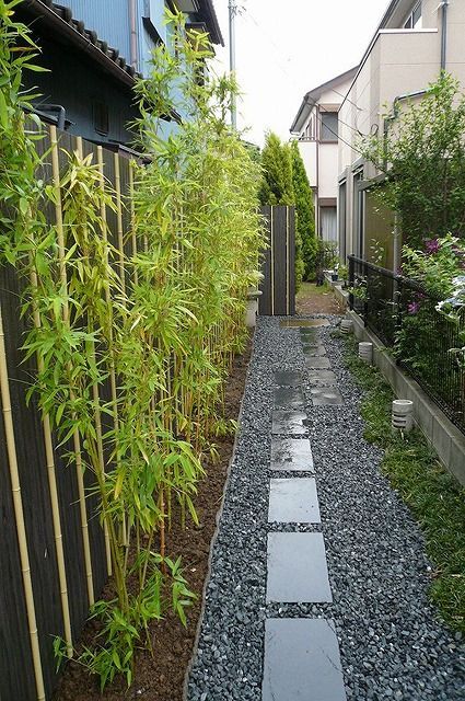 a narrow garden with bamboo trees and gravel path in the foreground, next to two buildings