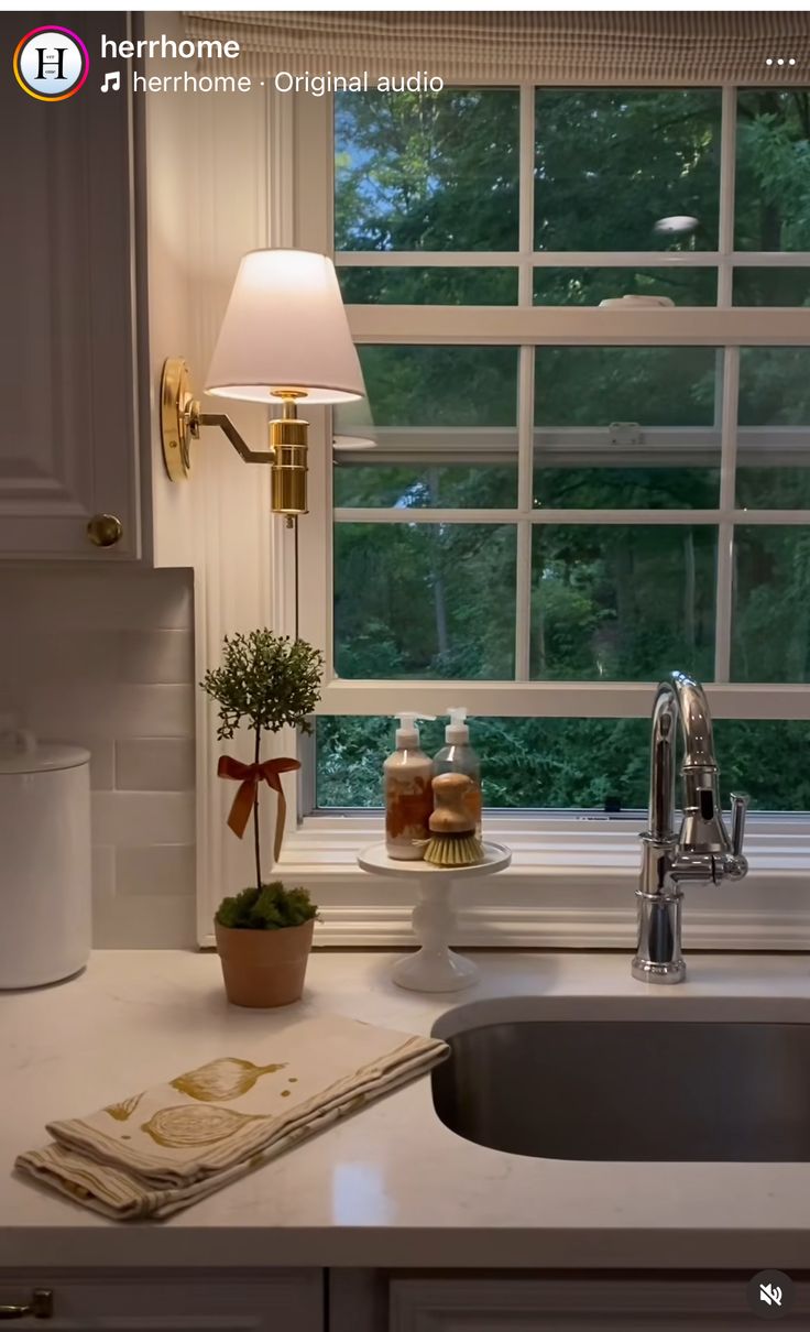 a kitchen sink sitting under a window next to a counter top with a potted plant on it