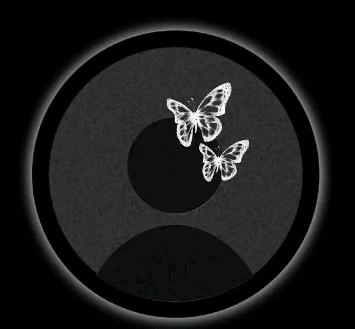 two butterflies flying in the air over a black circle with light reflecting off it's surface