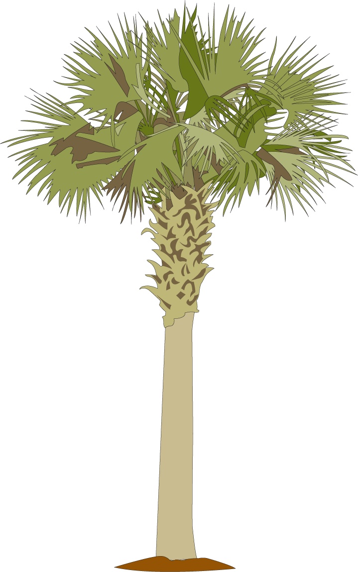 a palm tree with green leaves on it