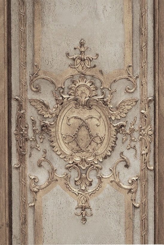 an ornate design on the side of a door with gold trimmings and scrolls