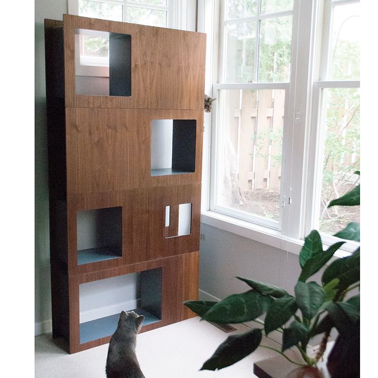 a cat sitting on the floor in front of a bookcase with shelves next to it