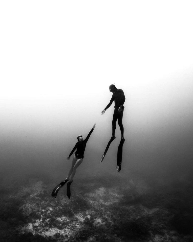 two people are diving in the water