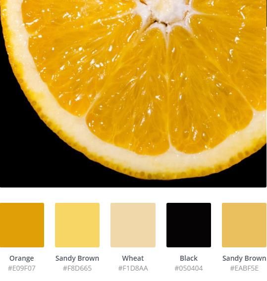 an orange cut in half on a black background with color swatches for each section