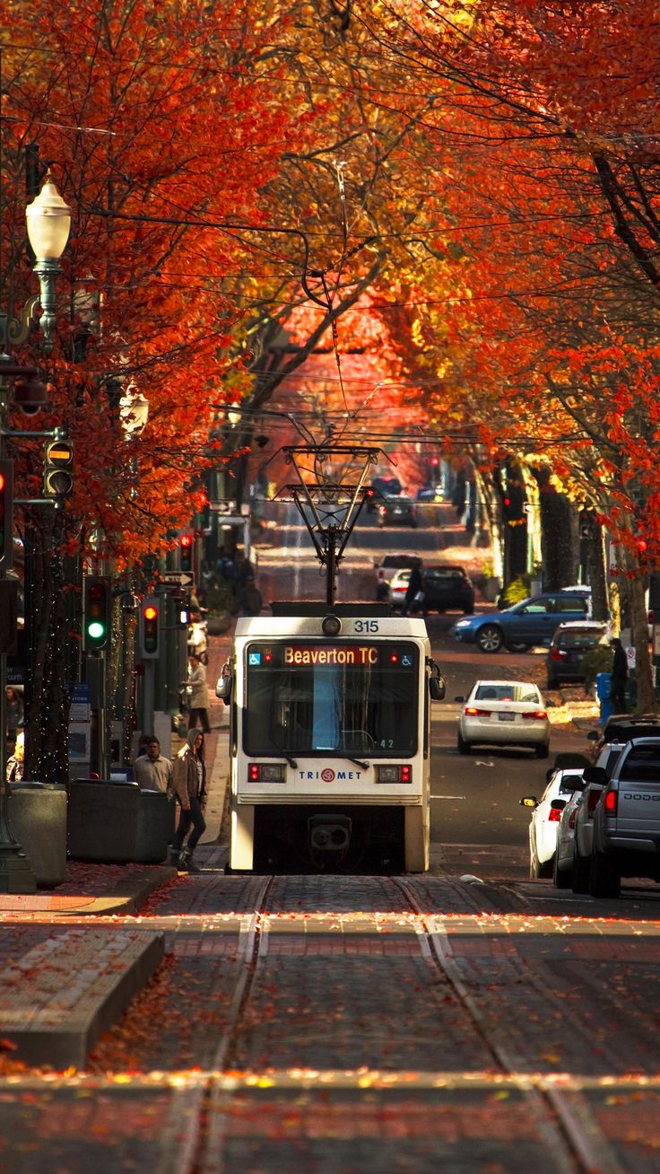 a bus is driving down the street in front of some trees with red leaves on it