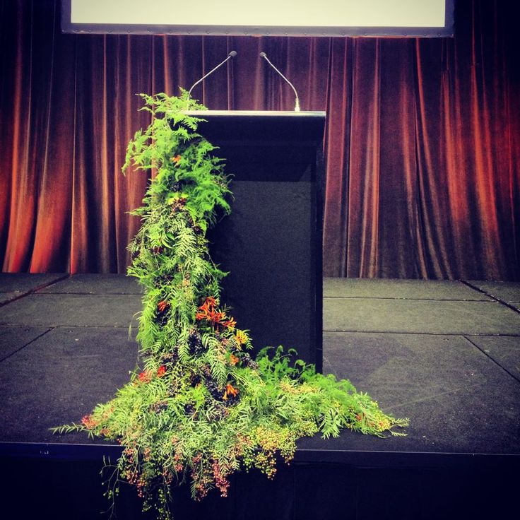 a green plant growing on top of a black podium in front of a red curtain