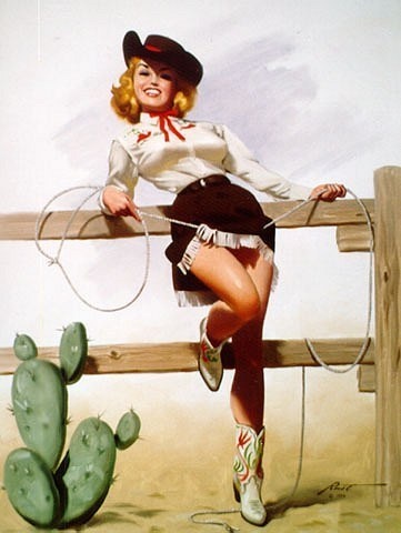 a woman is posing on a fence with a cowboy hat and lasso in her hand