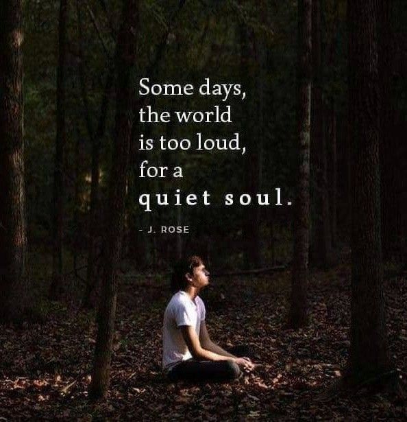 a man sitting in the middle of a forest with a quote above him that says, some days, the world is too loud for a quiet, quiet soul