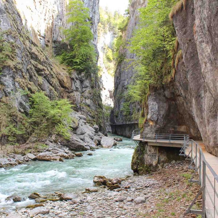 a river flowing through a canyon surrounded by tall rocks and greenery on either side