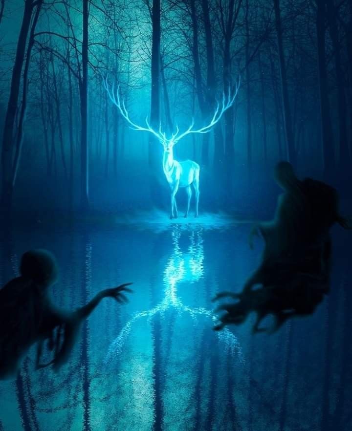 two deer in the woods at night, one is jumping into the water with its antlers