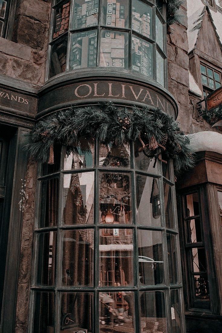 a store front with christmas decorations on the windows