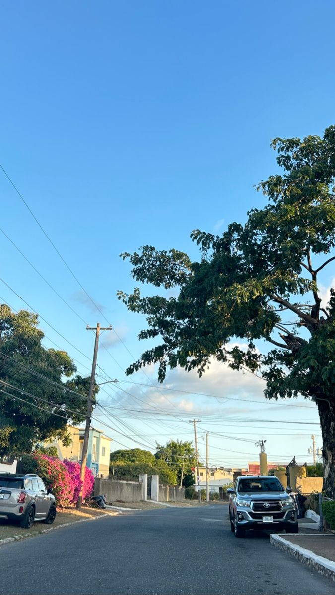 two cars parked on the side of a road next to a tree and power lines