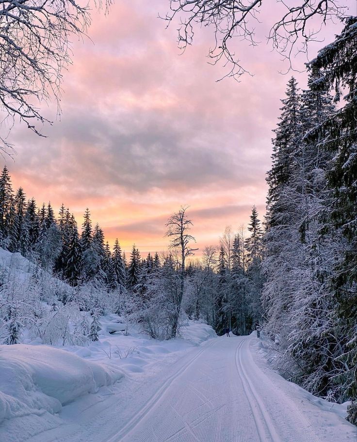 a snow covered road surrounded by trees under a pink sky with clouds in the distance