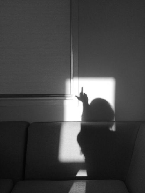 a black and white photo of a cat sitting on a couch in the sun light