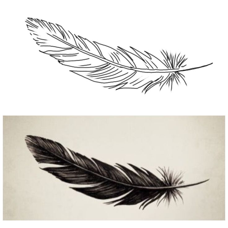 two different types of feathers are shown in black and white