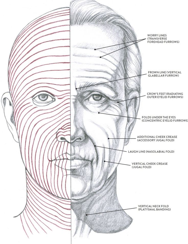 an image of a man's face with different facial features and lines on it