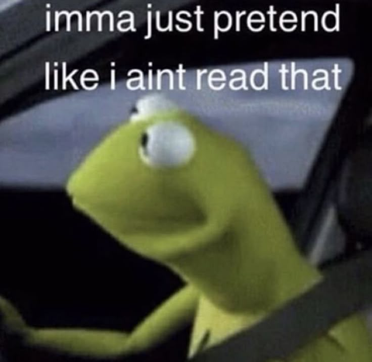 kermie the frog driving in a car with caption that reads, imma just pretendd like i amt read that