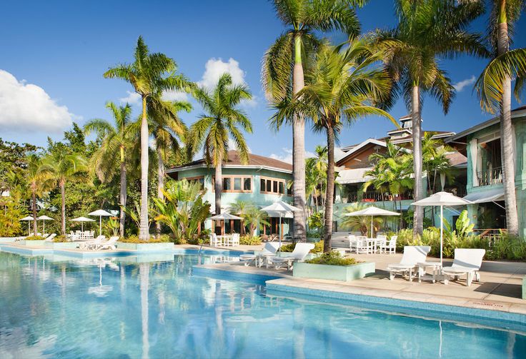 an outdoor swimming pool surrounded by palm trees