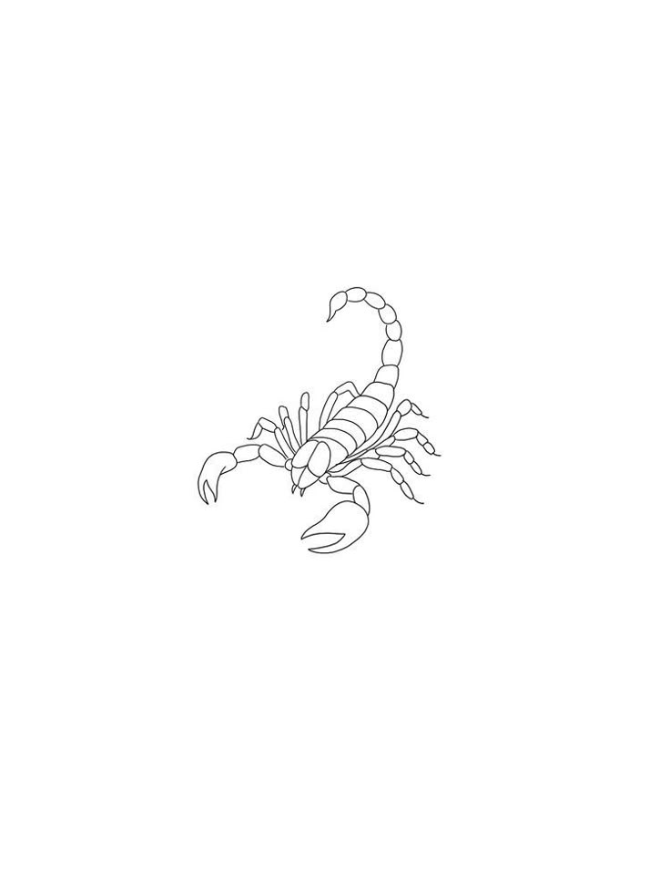 a black and white drawing of a scorpion