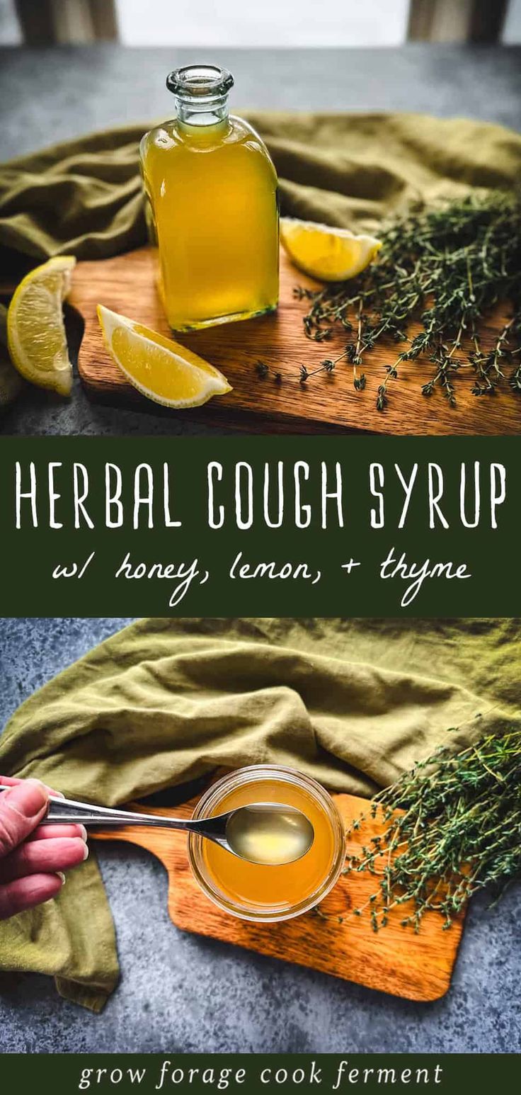 Explore the soothing benefits of Herbal Cough Syrup with Honey, Lemon, & Thyme. It's one of the easiest herbal syrups to make. This natural remedy combines honey's healing properties, lemon's refreshing zest, and thyme's therapeutic qualities. Ideal for treating cold symptoms with a homemade approach. Learn more about herbalism for beginners, natural remedies, and herbs for health at growforagecookferment.com. Herbalism For Beginners, Herbal Cough Syrup, Cough Syrup Recipe, Natural Cough Syrup, Homemade Cough Syrup, Homemade Cough Remedies, Herbal Remedies Recipes, Lemon Thyme, Natural Alternatives