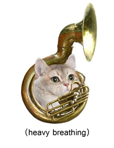 a cat is looking through the horn of a musical instrument that says heavy breathings