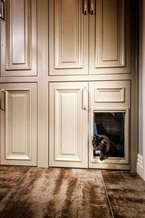 there is a dog that is sitting in the door to the kitchen cabinet and looking out