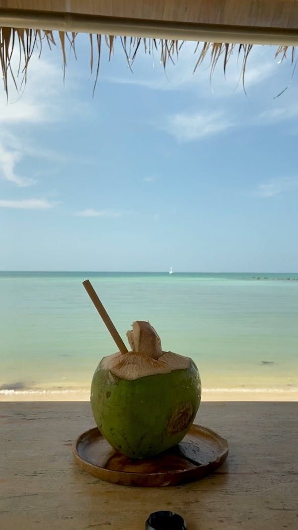 a green coconut drink sitting on top of a wooden table next to the ocean and beach