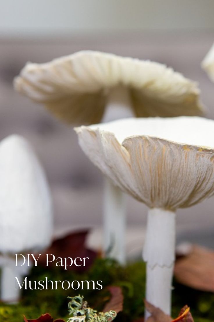 Image shows a close up picture of handmade paper mushrooms with a moss-covered bottom to replicate the floor of an autumnal forest. There is white text on the bottom left corner that says DIY Paper Mushrooms. Paper Mushrooms Diy, Paper Mushrooms, Mushrooms Diy, Diy Crafts Tutorials, Mushroom Crafts, Paper Plants, Paper Flower Crafts, Alice In Wonderland Tea Party, Diy Craft Tutorials