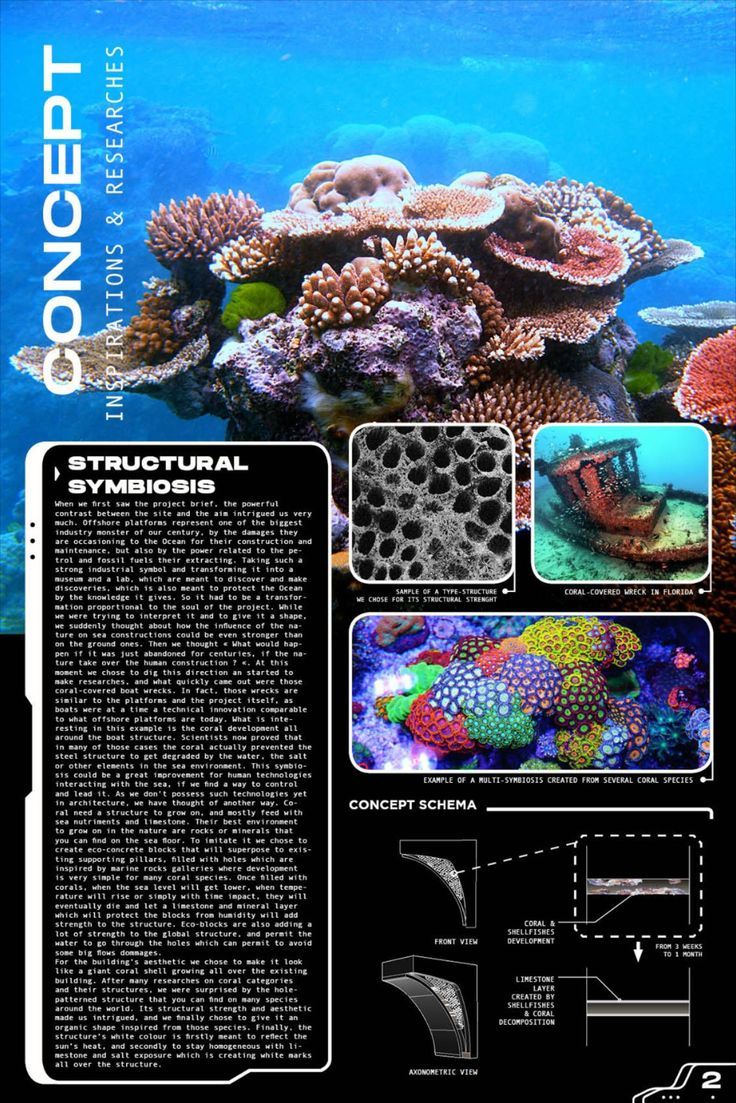 Architectural Ideas for Repurposing Oil rigs Coral Concept Architecture, Corals Architecture, Coral Reef Structure, Coral Reef Architecture, Coral Inspired Architecture, Mindmap Design, Coral Building, Coral Architecture, Coral Structure