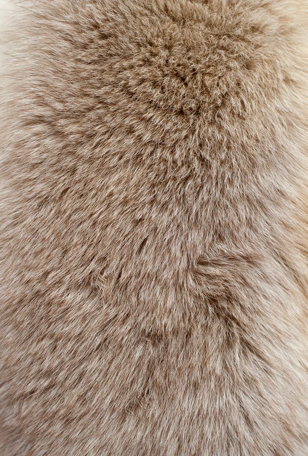 an animal fur texture is shown in this close up photo, it appears to be gray and white