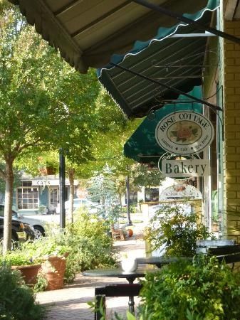 an outdoor cafe with lots of plants and trees