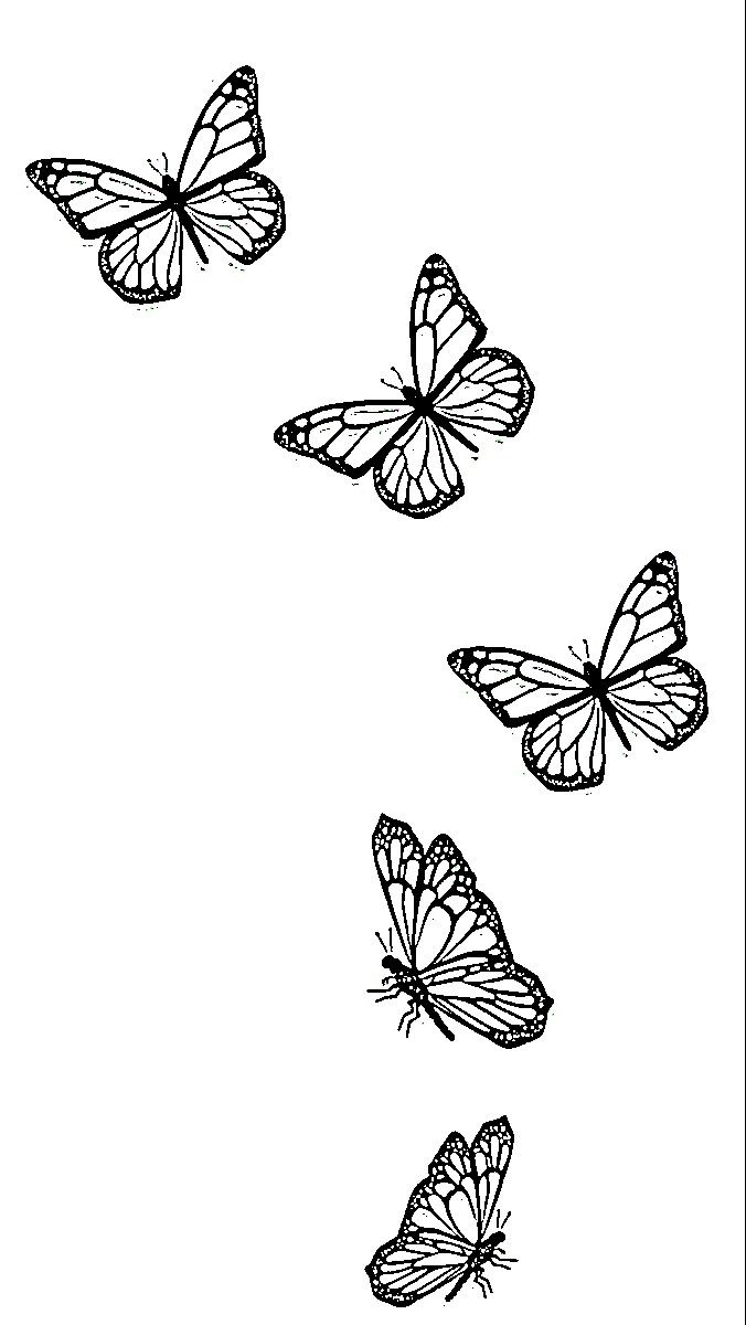 three butterflies flying in the air with one on its back and another on its side