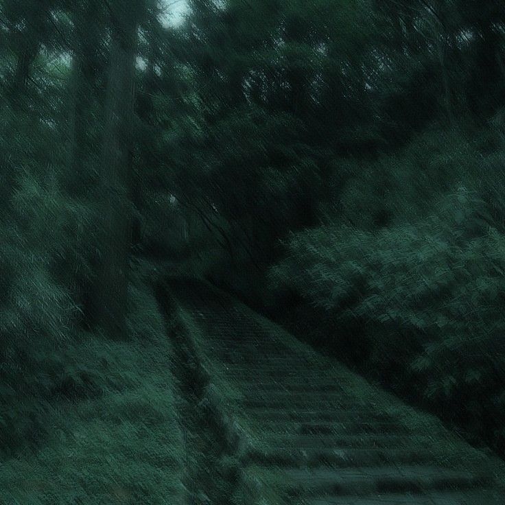 an old set of stairs in the middle of a forest with trees on either side