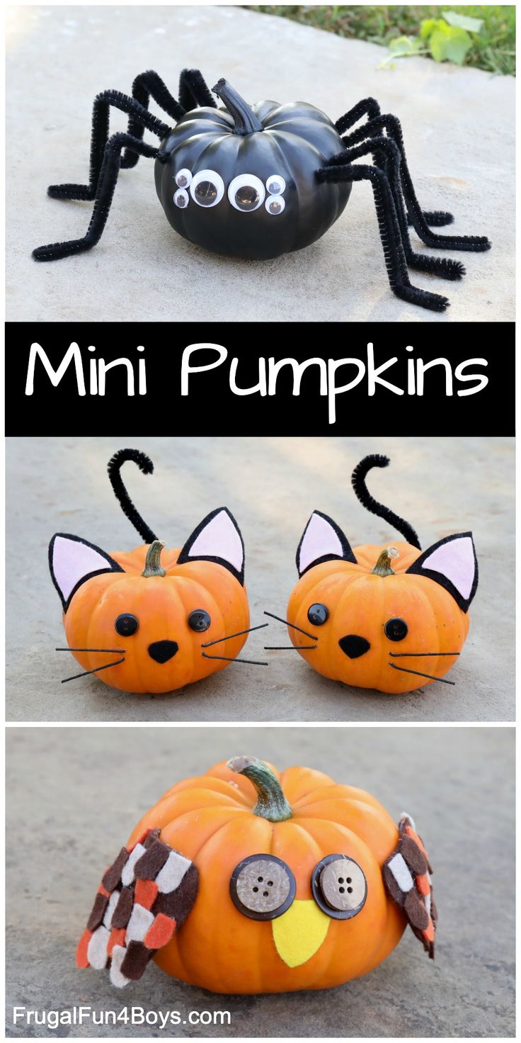 some pumpkins that have been painted to look like cats