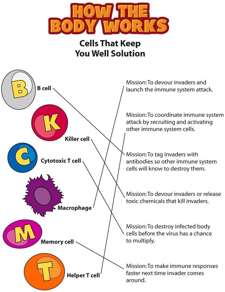 how the body works cell that keeps you well in control of your heart and mind