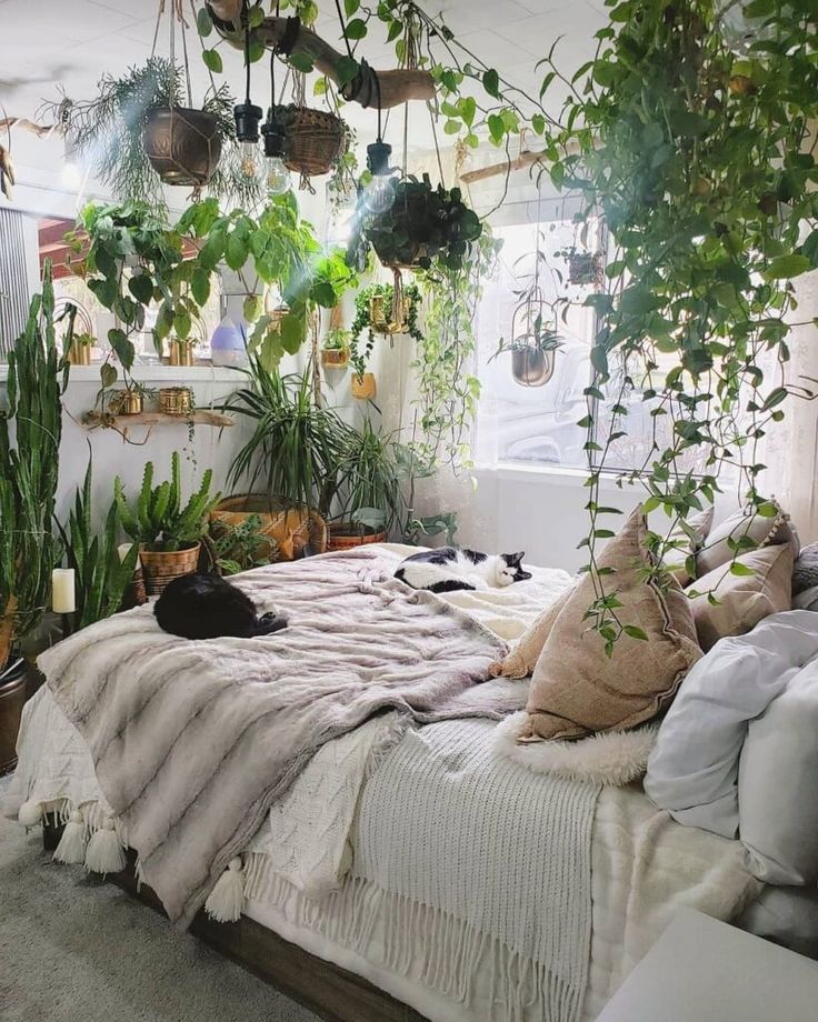 a bed covered in lots of plants next to two cats laying on top of it