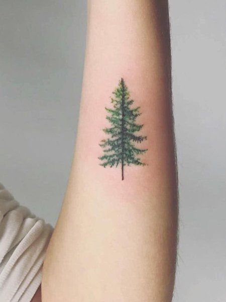 a small pine tree tattoo on the right arm and wrist, it looks like an evergreen