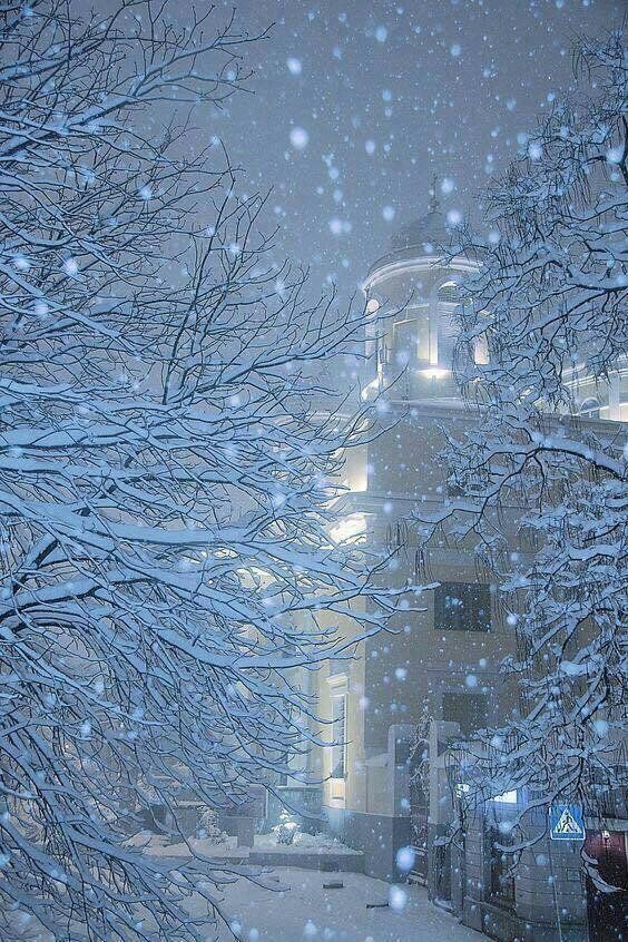 snow falling on the ground and trees in front of a building