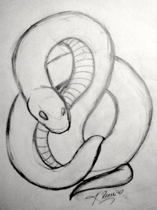 a drawing of a snake with its head in the shape of a letter s on paper