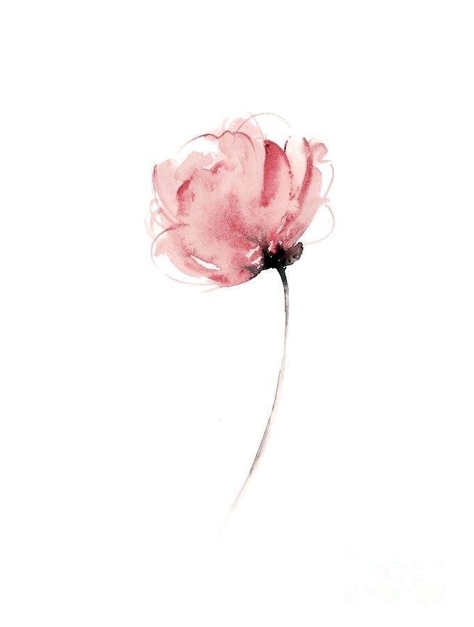 a pink flower on a white background