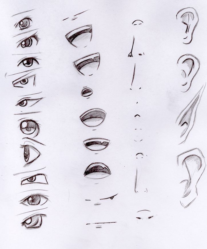 a bunch of different types of eyes drawn on paper