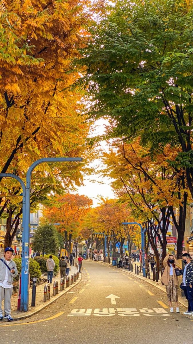 people are standing on the sidewalk in front of trees with yellow and orange leaves,