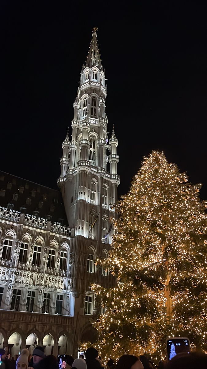 a large christmas tree in front of a tall building with lights on it's sides