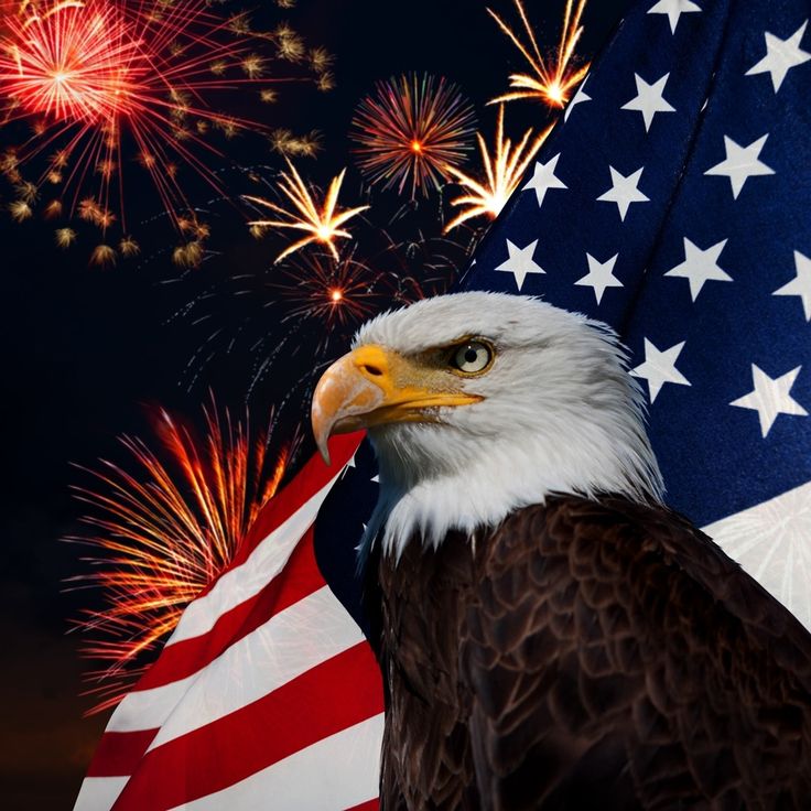 an eagle with the american flag and fireworks in the background