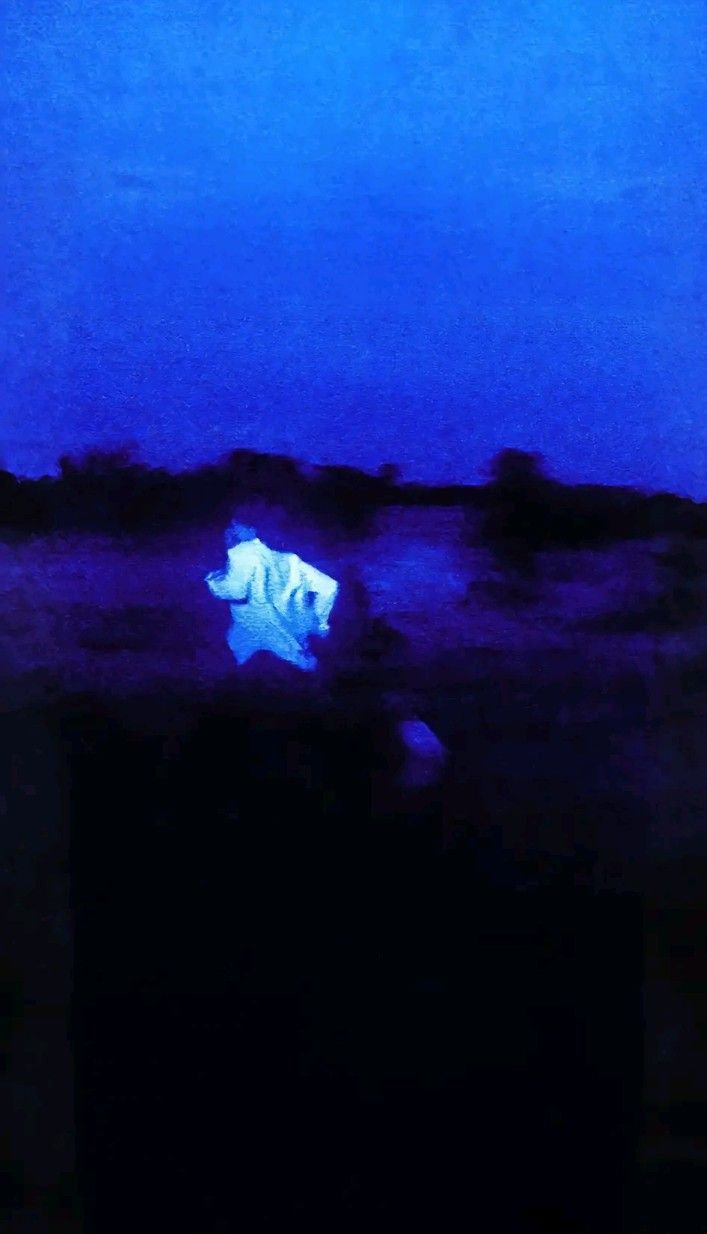 a polar bear standing in the dark with its head turned to the side