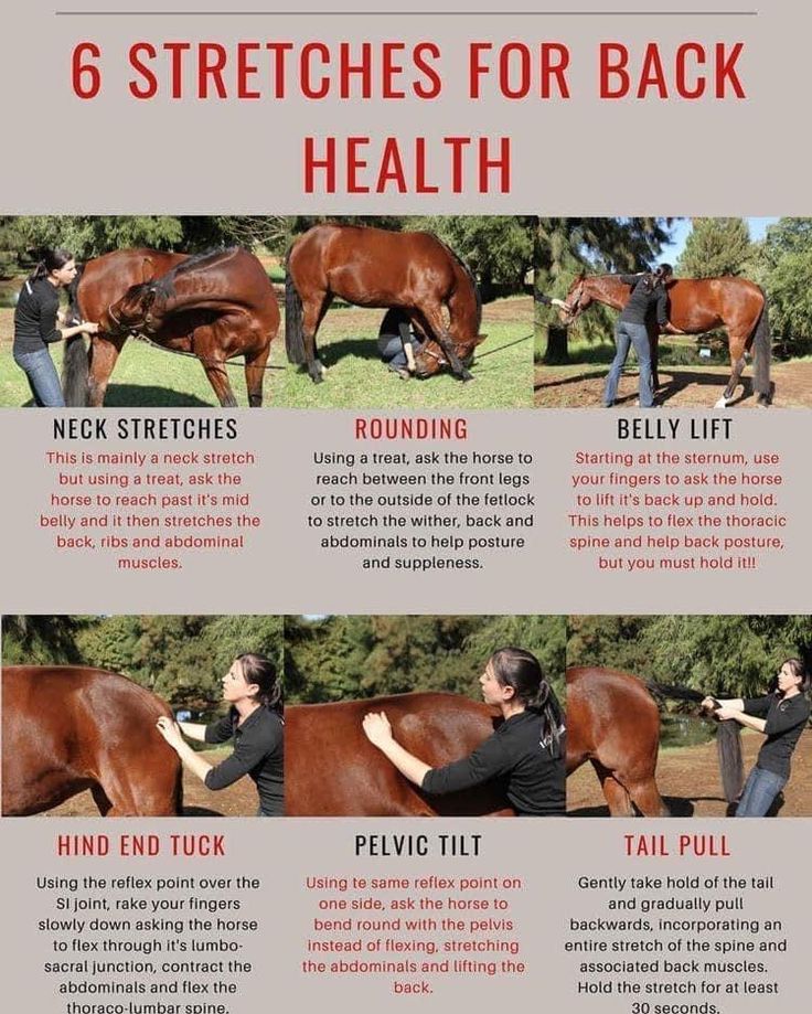 a poster with instructions on how to use horses for back and neck health in the field