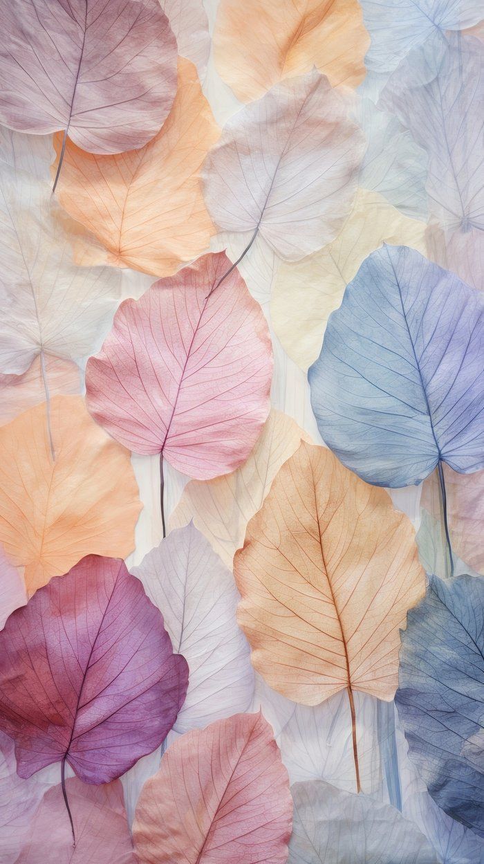 many different colored leaves are arranged together